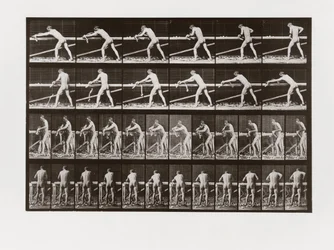 Man hyvlar ved, tavla 379 från Animal Locomotion, 1887