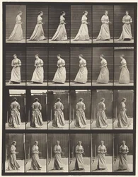 Plåt 100. Svängande och uppgående trappor, 1885