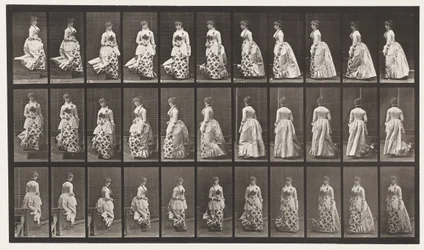 Tavla 139. Descending Stairs Turning, 1885