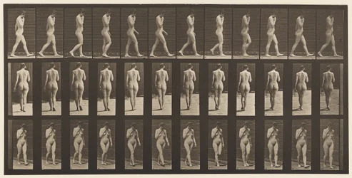 Plåt 14. Walking, Right Hand at Chin, 1872-1885