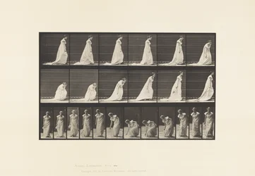 Plåt 209. Böja och lyfta en näsduk, 1885