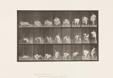 Plåt 268. Uppstår från marken, 1885
