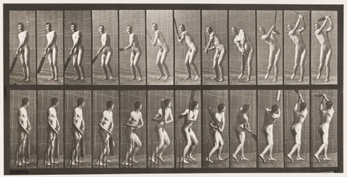 Tallrik 291.Cricket; Vadd; Drive, 1885