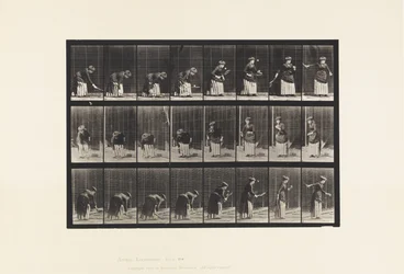 Tallrik 295. Lawn Tennis; Servering