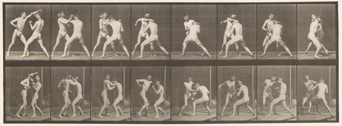 Tallrik 342. Boxning; Öppen hand, 1872-1885