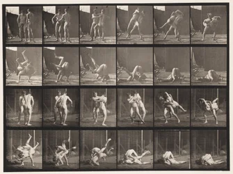 Plåt 348. Wrestling, grekisk-romersk, 1885
