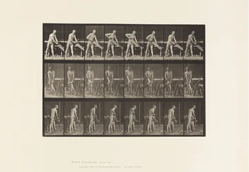 Plåt 380. Snickare, Sågning, 1872-1885