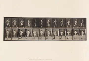 Tavla 389. Bonde, spridningsfrö, 1872-1885