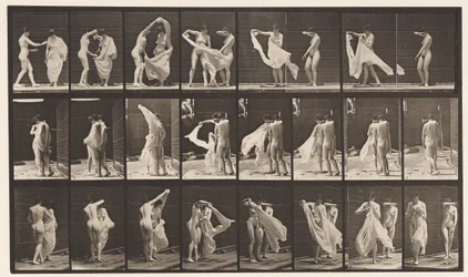 Tallrik 429. Toalett; Två modeller, 1 Disrobing 8, 1872-1885