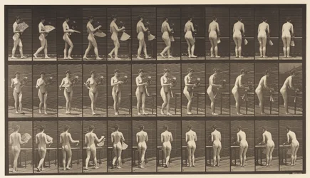 Tallrik 441. Bär vas och ställ den på bordet, 1872-1885