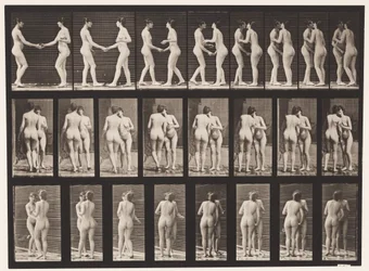 Tallrik 444. Två modeller skakar hand och kysser varandra