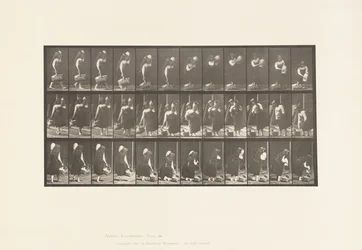 Tallrik 460. Bärburk på axeln och korg i handen, 1885