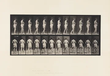 Tallrik 542. Multipel cerebro-spinal skleros - promenader
