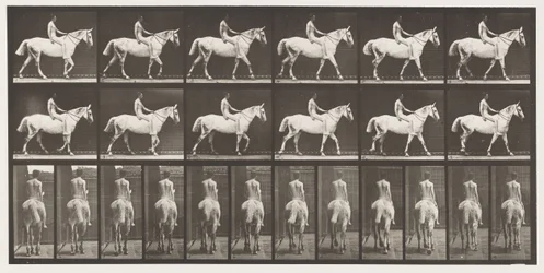 Tavla 581.Walking;Bareback;Rider,43, Naken; Ljusgrå häst Smith, 1885