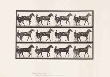 Tallrik 588.Gående; Sulky; Bay Horse Reuben, 1885