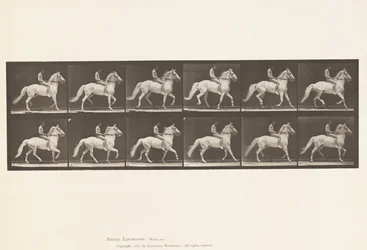 Plåt 590.Ambling