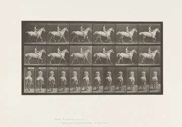 Tallrik 602.Trav;Barback; Ryttare, 43, naken; ljusgrå häst Smith, 1885
