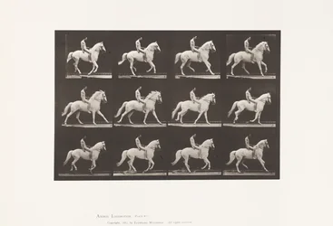Tavla 617. Galopp; Barbacka; Ryttare, 106, naken; White Horse Clinton, 1885