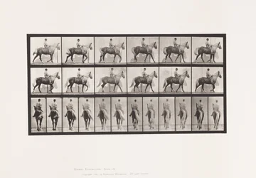 Tallrik 653. Gång; Sadel; Lama, höger framfot;Häst-Buckskinn