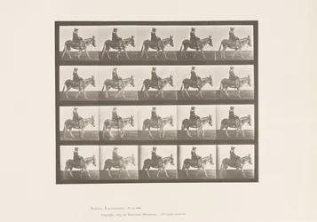 Tallrik 666. Ass; Gående; Sadel; En flicka som rider, Zoo