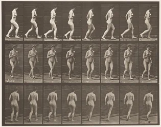 Plåt 70. Running., 1872-1885