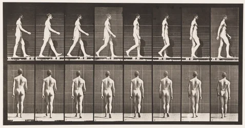 Plåt 8. Promenader
