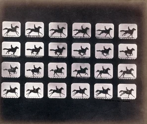 Running (Galloping) av Eadweard J. Muybridge