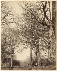 Drottning Adelaides bok,1864 (foto)
