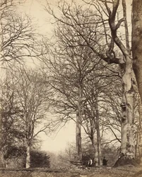 Drottning Adelaides bok, 1864