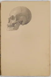Anatomy Sketch Book, 1849 (skissbok som innehåller teckningar i grafit)
