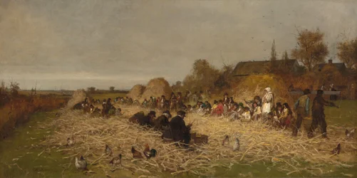 Husking Bee, ön Nantucket, 1876.