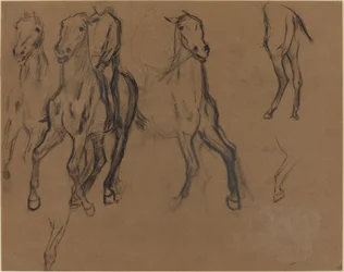 Study of Horses, c.1886 (träkol och grafit på brunt papper)