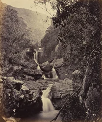 Fall av ljus. Coonoor Ghant