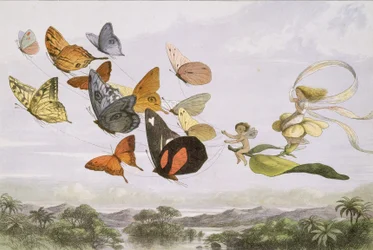 In Fairyland: A Series of Pictures from the Elf-World, 1870.