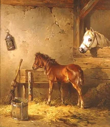 Sto och föl i ett stall (olja på duk)