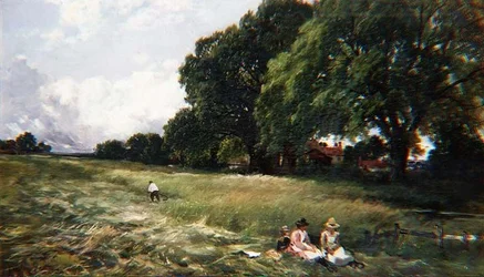 Hayfield i Danbury, Essex