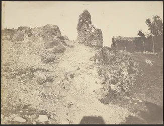 [Rocky Landscape]