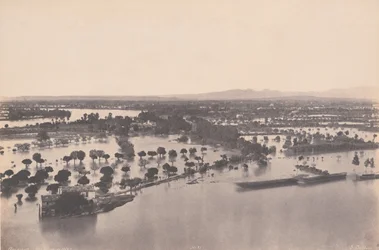 Avignon (floden 1856)