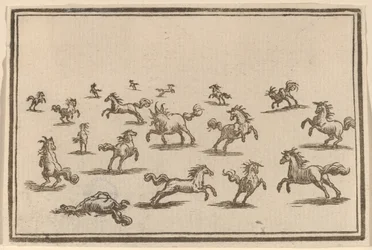 Hästar som springer