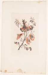 Parasollformade blommor Fleurs Idealle (serietitel)