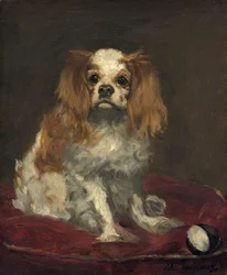 En King Charles Spaniel, ca 1866 (olja på linne)