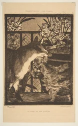 Katt och blommor. Illustration till katterna av Champfleury, 1869.