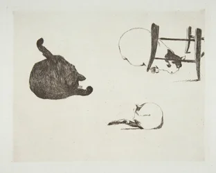 Katter, 1868-69.