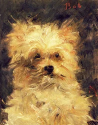 Huvud av en hund - Bob, 1876