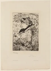 Jeanne (vår)