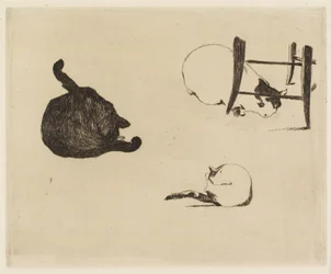 Katterna, 1869