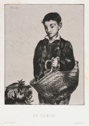 Urchin