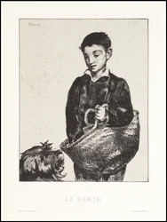 Urchin, 1862