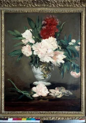 Vas med pioner på en piédouche, 1864, mått 0,93 x 0,70 m, Musée d