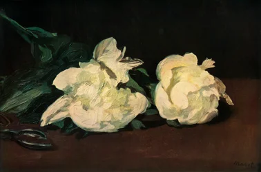 Vita pioner, 1864, 1937.